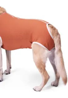 BODYCOBRE BODY CASTRAZIONE CANI MASCHI "TG. 8" 17-21 KG