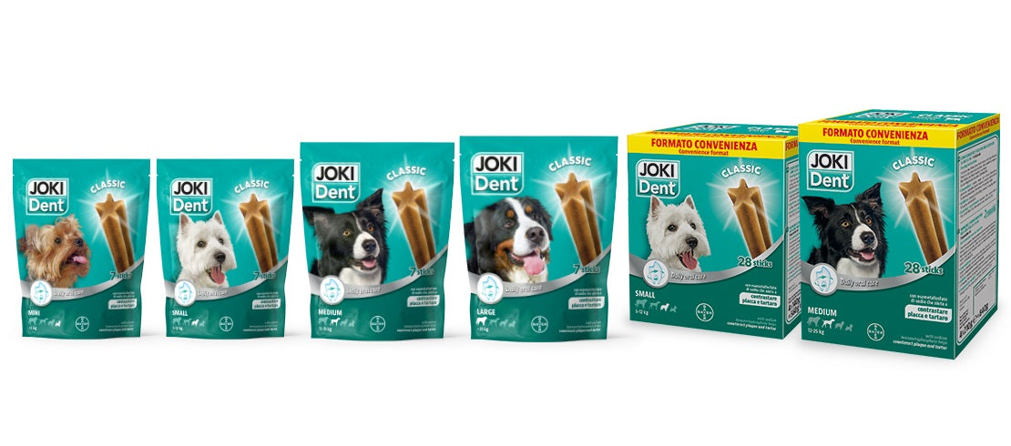 JOKI DENT CANE CLASSIC MEDIUM MEGAPACK CF. (4x7 PZ) 840 GR