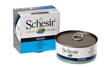 SCHESIR CANE LATTINA IN JELLY ADULTO TONNETTO 150 GR