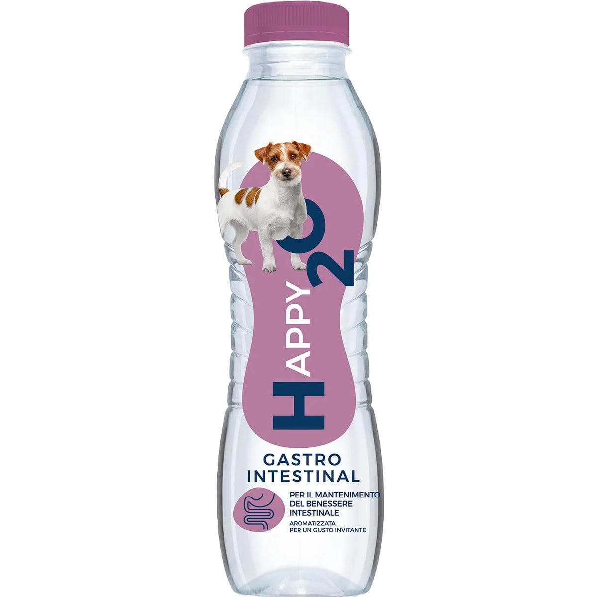 HAPPY2O ACQUA CANE GASTRO INTESTINAL 500 ML