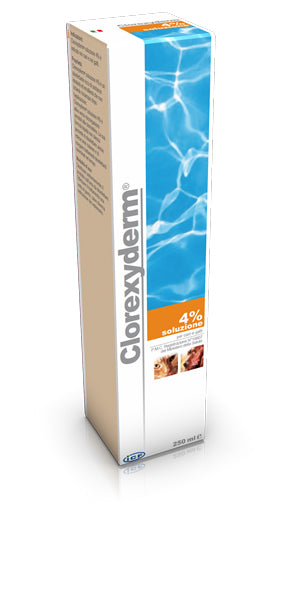 CLOREXYDERM 4% SOLUZIONE 1 LT