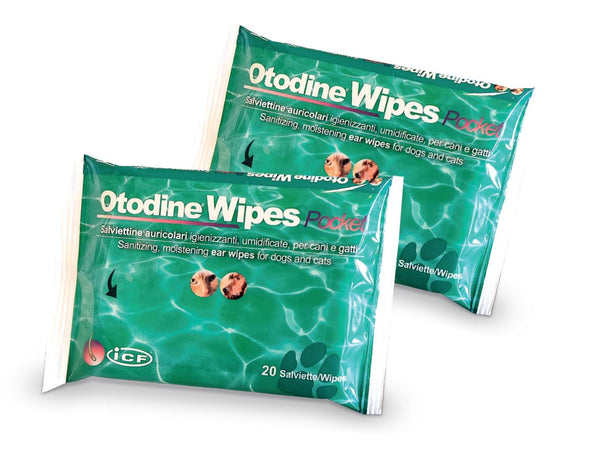 OTODINE WIPES POCKET SALVIETTINE AURICOLARI CF. (20 PZ)