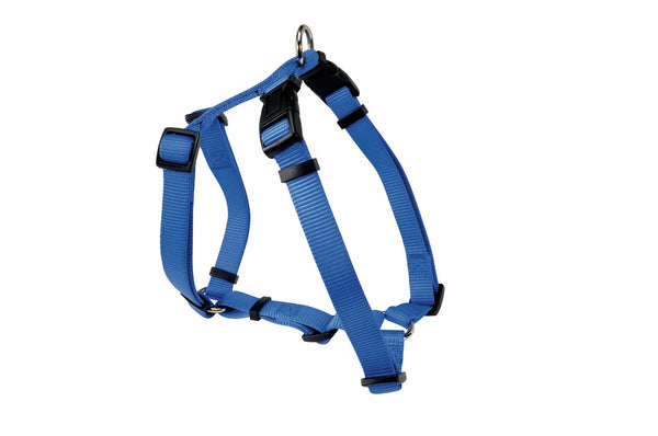 CAMON CANE PETTORINA IN NYLON MODELLO "H" N. 5 25 MM BLU