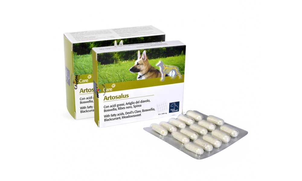 CAMON ARTOSALUS 60 CPR