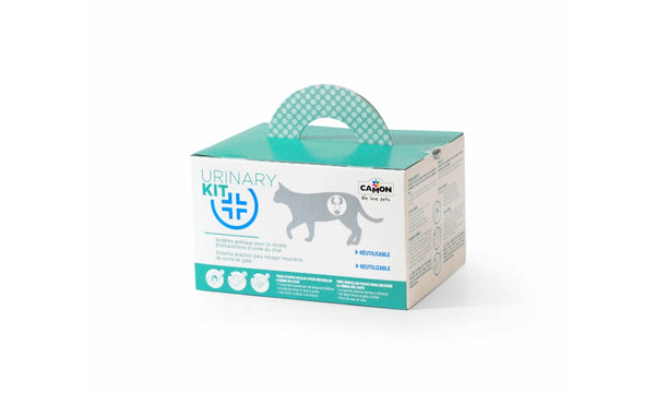 CAMON GATTO URINARY KIT TEST RACCOLTA URINE