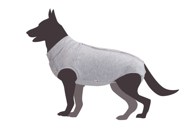 CAMON CANE TUTINA POST OPERATORIA TG. 60