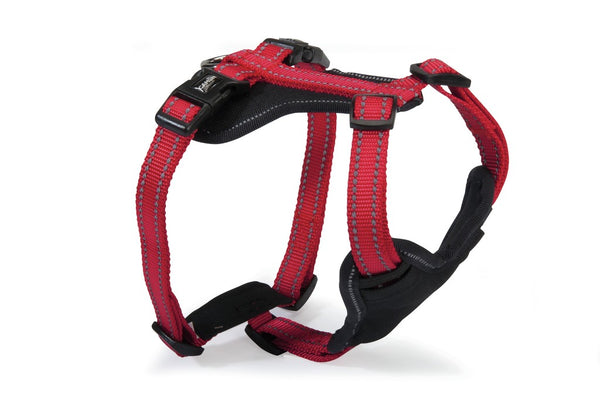 CAMON CANE PETTORINA IN NEOPRENE "REFLEX" 5 REGOLAZIONI TG. MEDIUM NERO