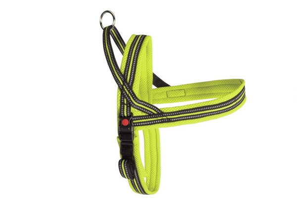 CAMON CANE PETTORINA "DYNAMIC PLUS" 100 CM LIME