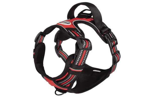 CAMON CANE PETTORINA "COMFORT PRIME" TG. LARGE FUCSIA