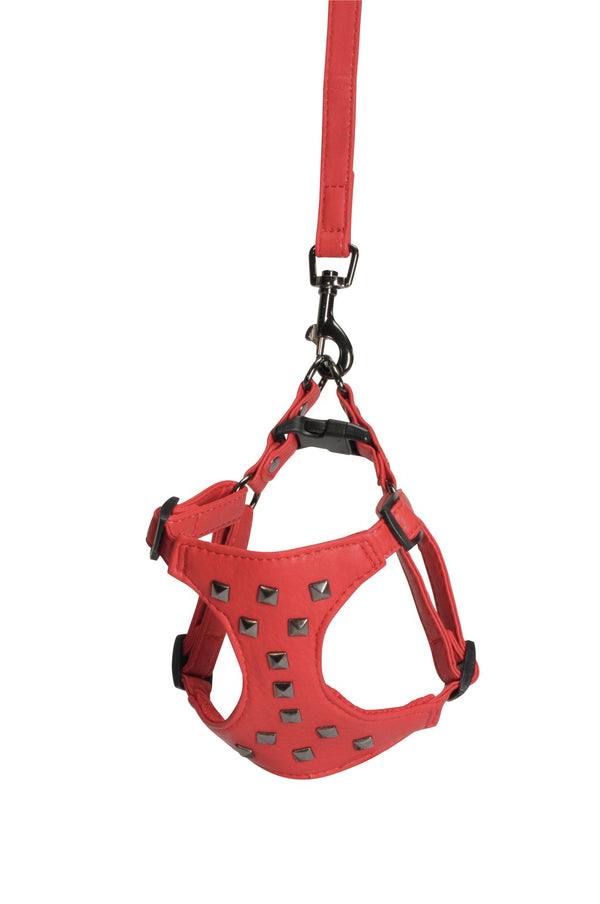 CAMON CANE PARURE PETTORINA + GUINZAGLIO SIMILPELLE CON BORCHIE 15 MM x 120 CM TG. MEDIUM ROSSO