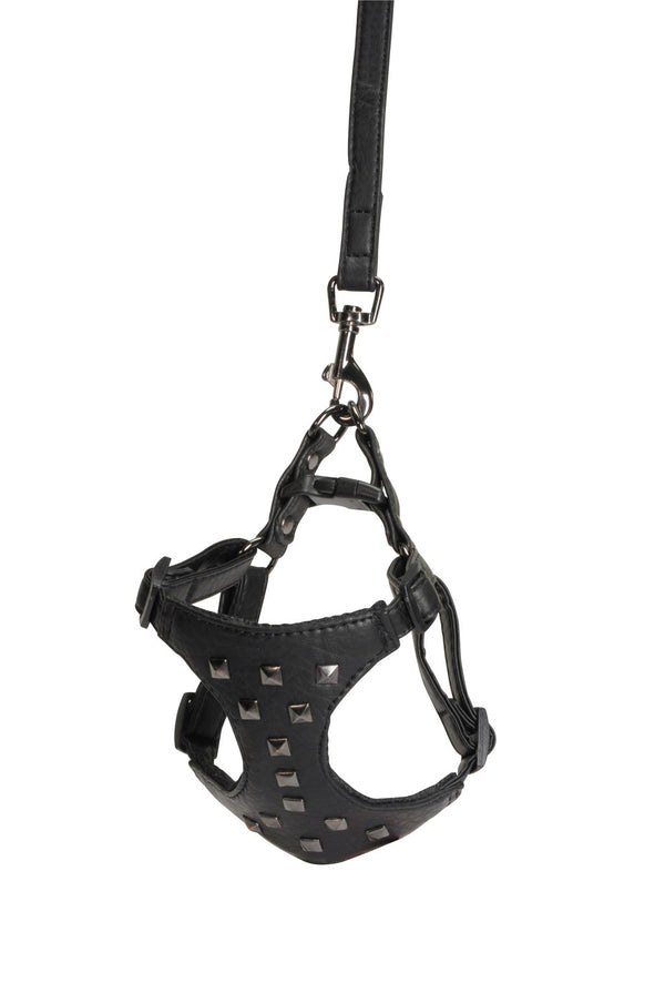 CAMON CANE PARURE PETTORINA + GUINZAGLIO SIMILPELLE CON BORCHIE 15 MM x 120 CM TG. LARGE NERO