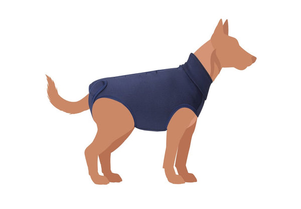 CAMON CANE TUTINA POST OPERATORIA "EXCLUSIVE" TG. 75 BLU