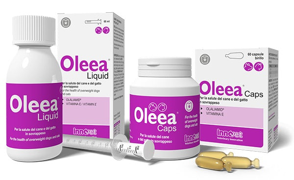 OLEEA LIQUID 60 ML