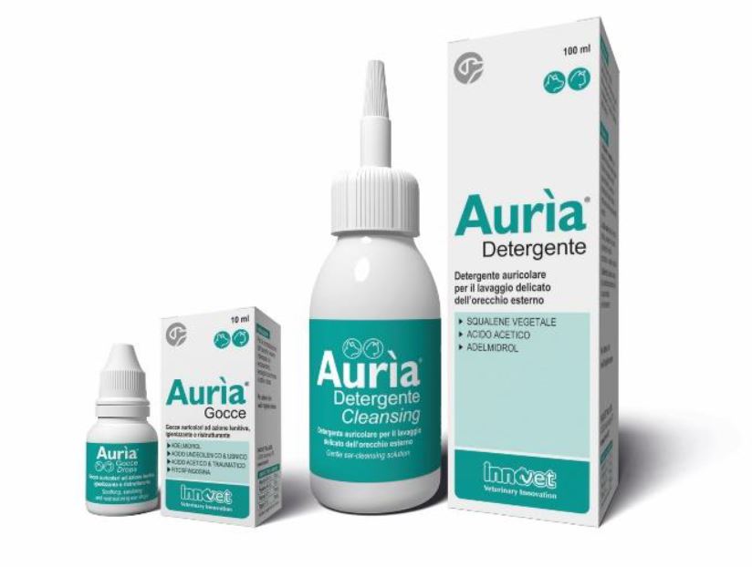 AURIA DETERGENTE AURICOLARE 100 ML