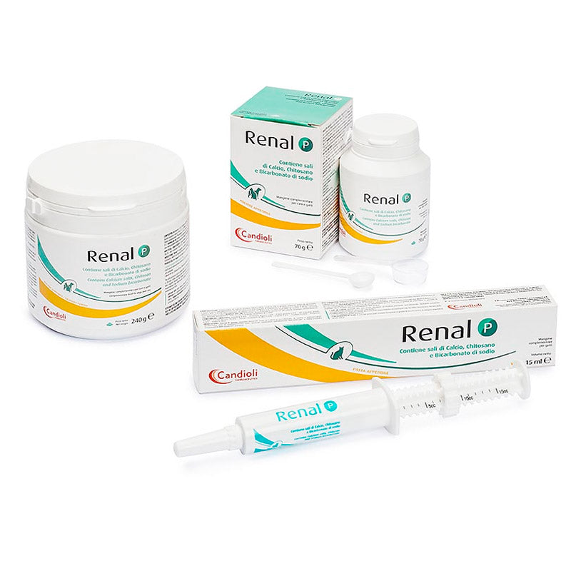 RENAL P PASTA GATTI 15 ML