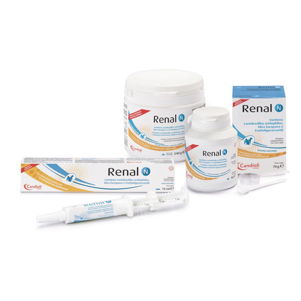 RENAL N PASTA APPETIBILE CANI E GATTI 15 ML