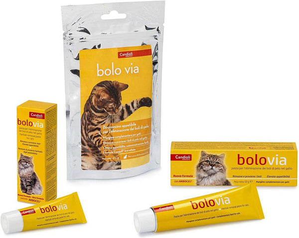 BOLO VIA NUOVA FORMULA 100 GR