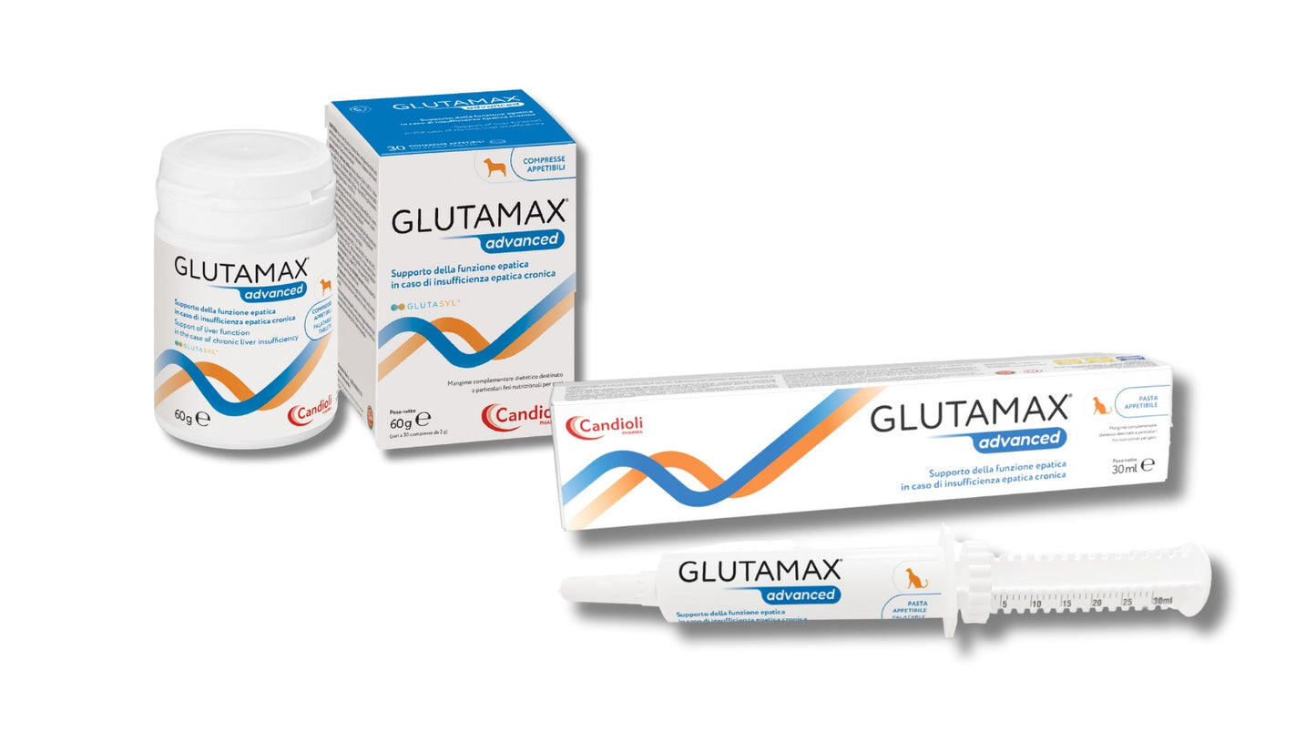 GLUTAMAX ADVANCED PASTA 30 ML