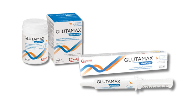 GLUTAMAX ADVANCED 30 CPR