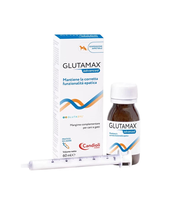 GLUTAMAX ADVANCED SOSPENSIONE 60 ML