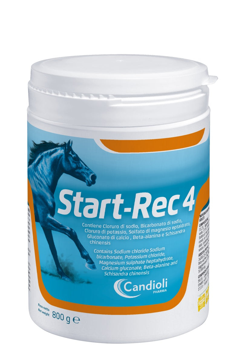 START-REC 4 CAVALLI 800 GR