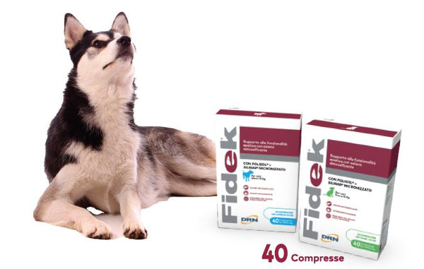 FIDEK 1500mg CANI OLTRE 15 KG 40 CPR