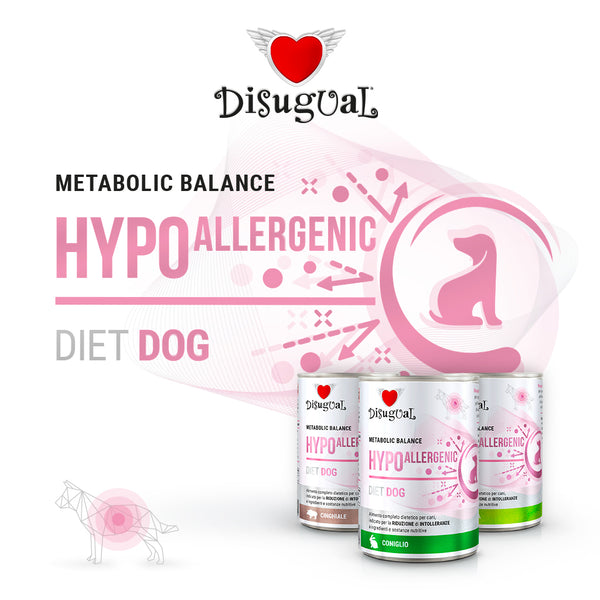 DISUGUAL CANE DIET HYPOALLERGENIC QUAGLIA 400 GR
