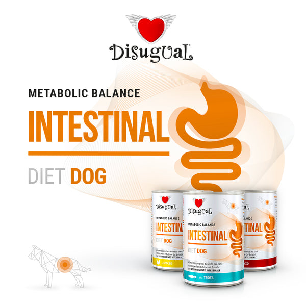 DISUGUAL CANE DIET INTESTINAL SOGLIOLA 400 GR