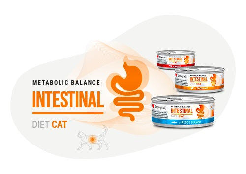 DISUGUAL GATTO DIET INTESTINAL SOGLIOLA 85 GR