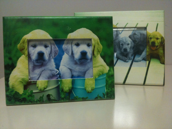 CORNICE IMMAGINE ANIMALI 10 x 15