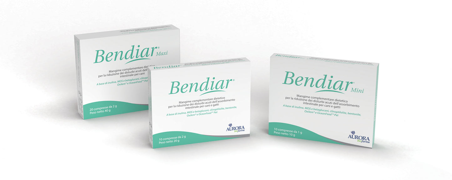 BENDIAR MAXI 20 CPR