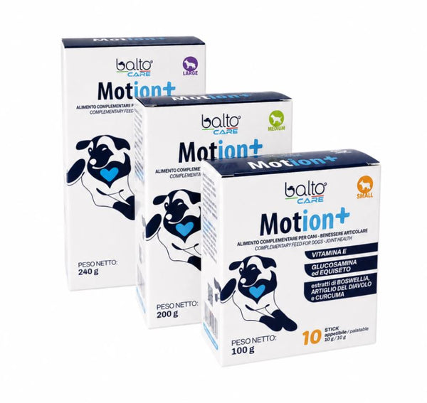 MOTION+ S CF. (10 STICK) 100 GR