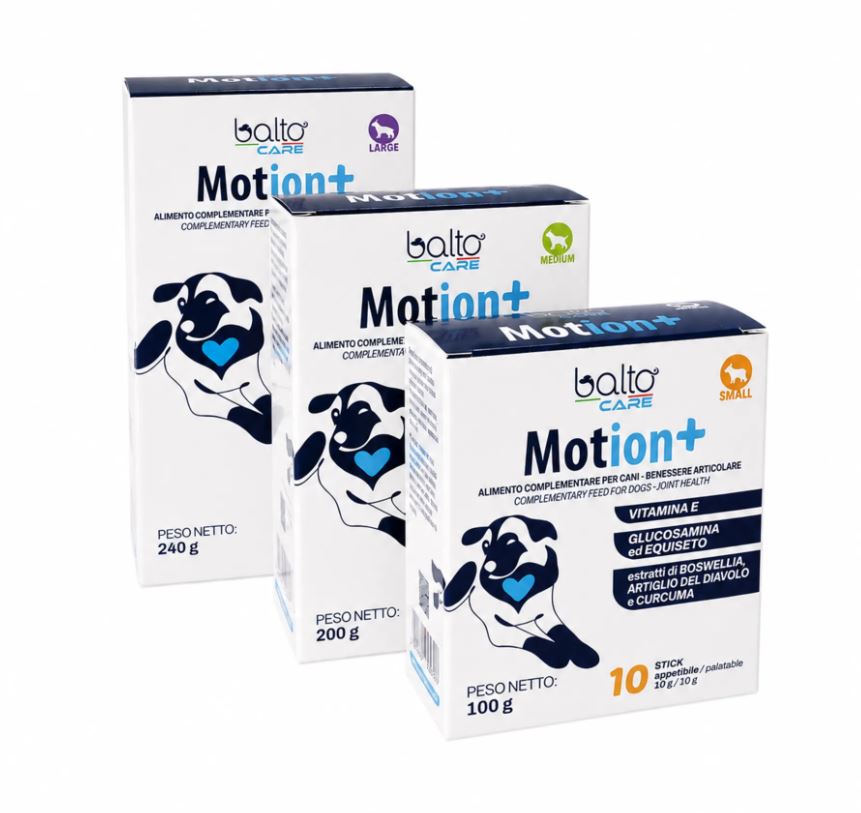 MOTION+ L CF. (20 STICK) 240 GR