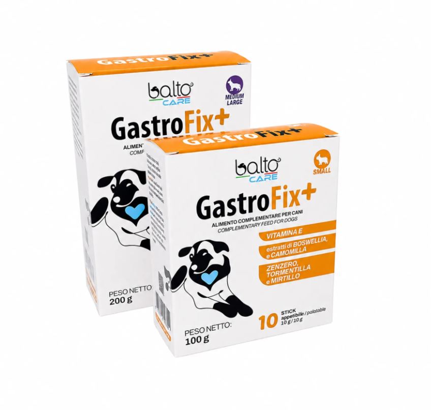 GASTROFIX+ S CF. (10 STICK) 100 GR