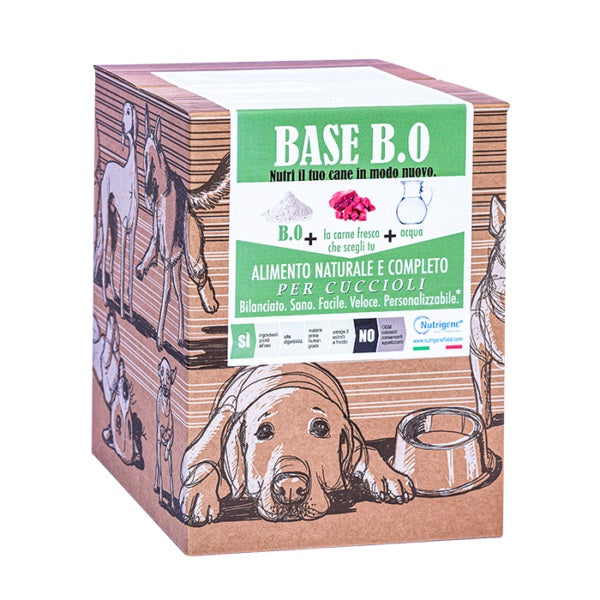 NUTRIGENE BASE B ZERO CARTONE 3 KG