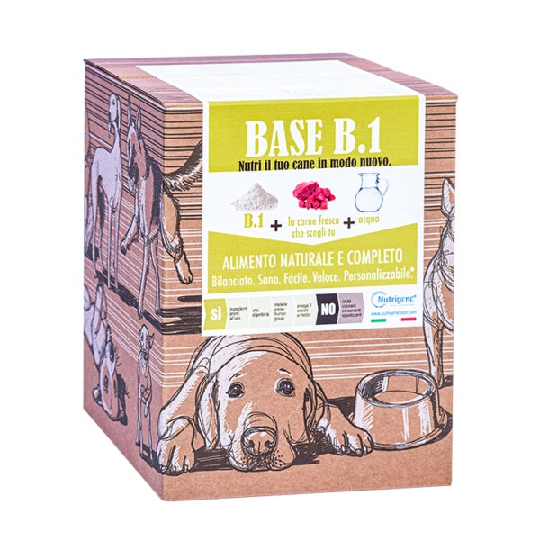 NUTRIGENE BASE B UNO CARTONE 7 KG