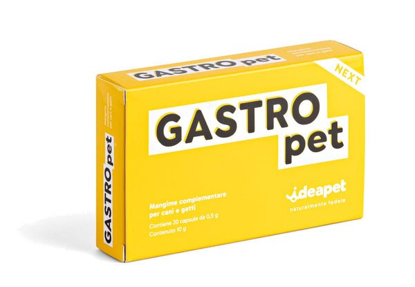GASTRO PET 20 CPS