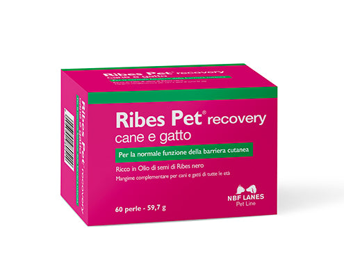 RIBES PET RECOVERY cane e gatto 60 PERLE