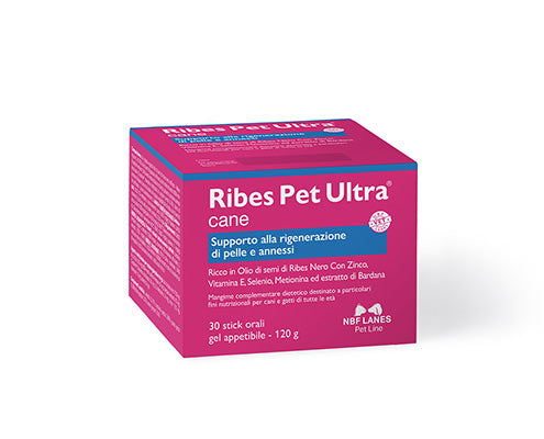 RIBES PET ULTRA CANE 30 STICK