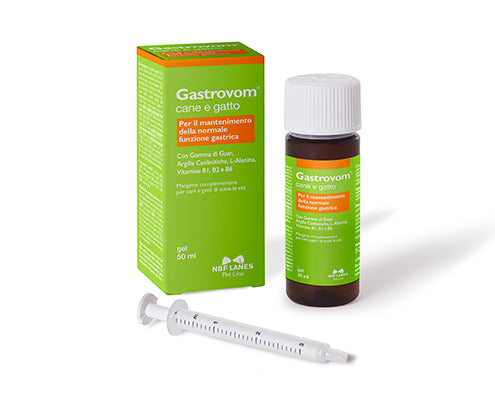 GASTROVOM GEL 50 ML