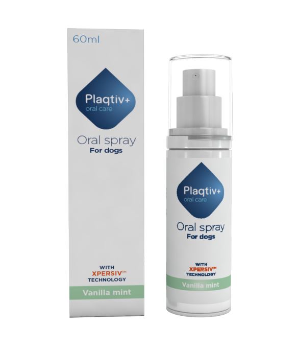 PLAQTIV+ ORAL CARE SPRAY ORALE 60 ML