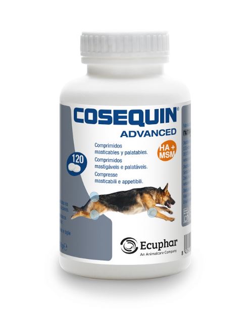 COSEQUIN ADVANCED CANE 120 CPR