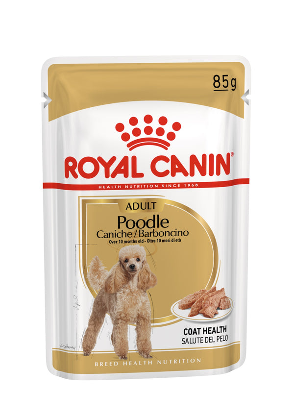 ROYAL CANIN CANE BHN BARBONCINO ADULTO 85 GR