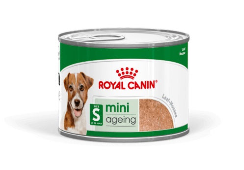 ROYAL CANIN CANE MINI AGEING LATTINA 195 GR