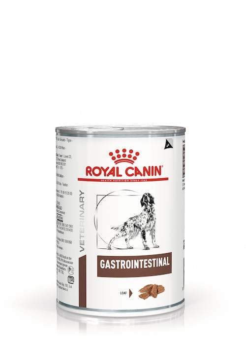 ROYAL CANIN CANE GASTROINTESTINAL 400 GR