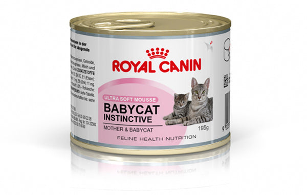 ROYAL CANIN GATTO MOTHER&BABYCAT 195 GR