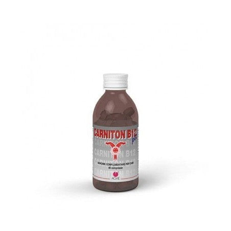 CARNITON B12 PET 80 CPR