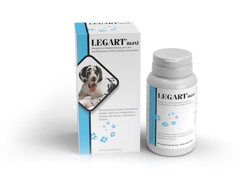 LEGART MAXI 60 CPR