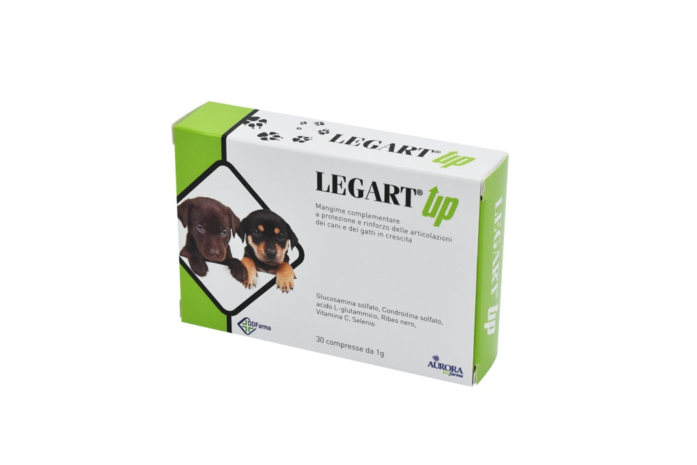 LEGART UP 30 CPR