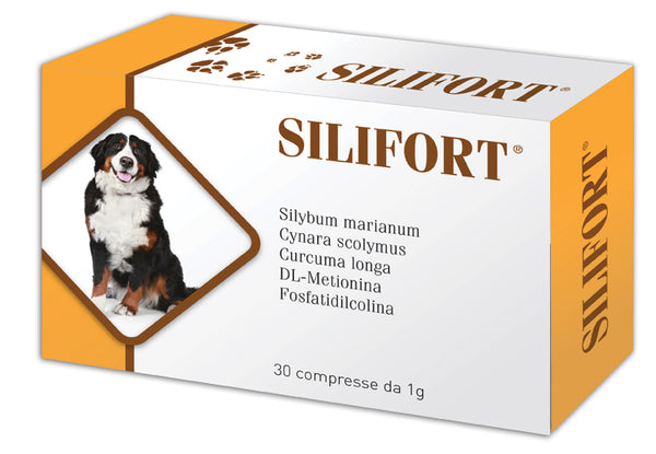 SILIFORT 30 CPR